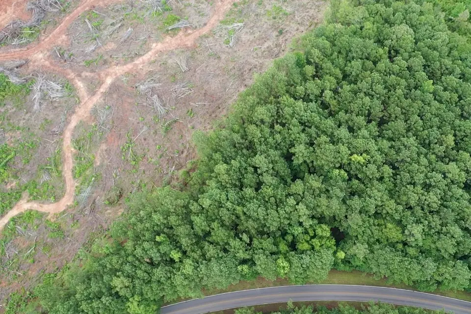 Triune Mill Road - Thomaston Photo 3